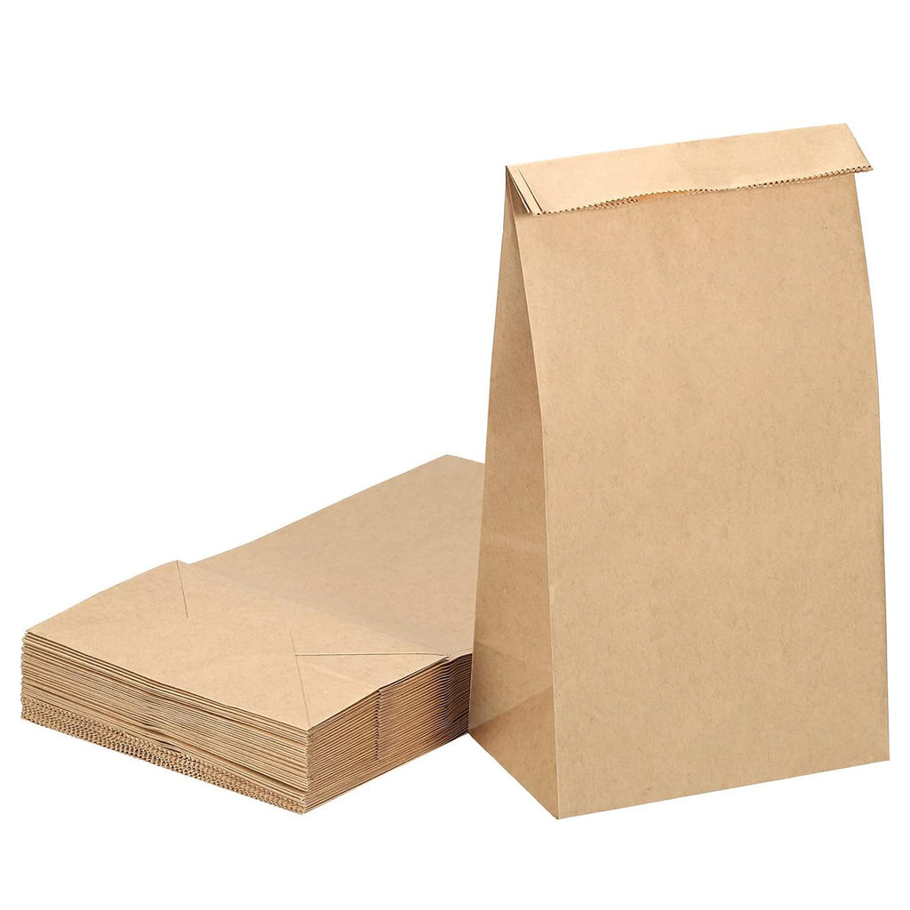 100 Pieces Brown Paper Bags