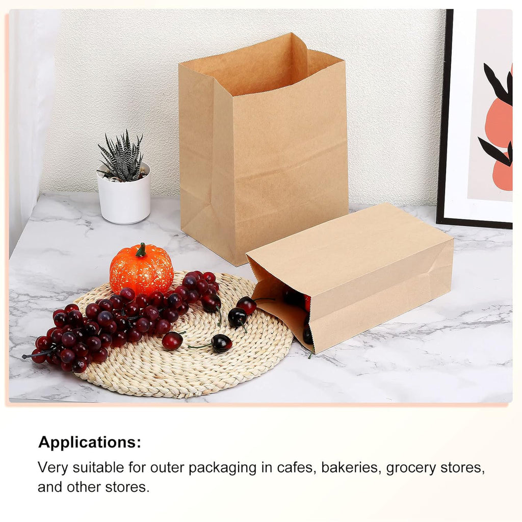 100 Pieces Brown Paper Bags