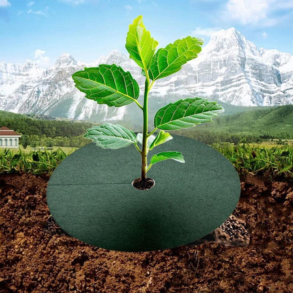 5 Piece Garden Ground Weed Control Cover Sapling Root Protection 9.8 i ...