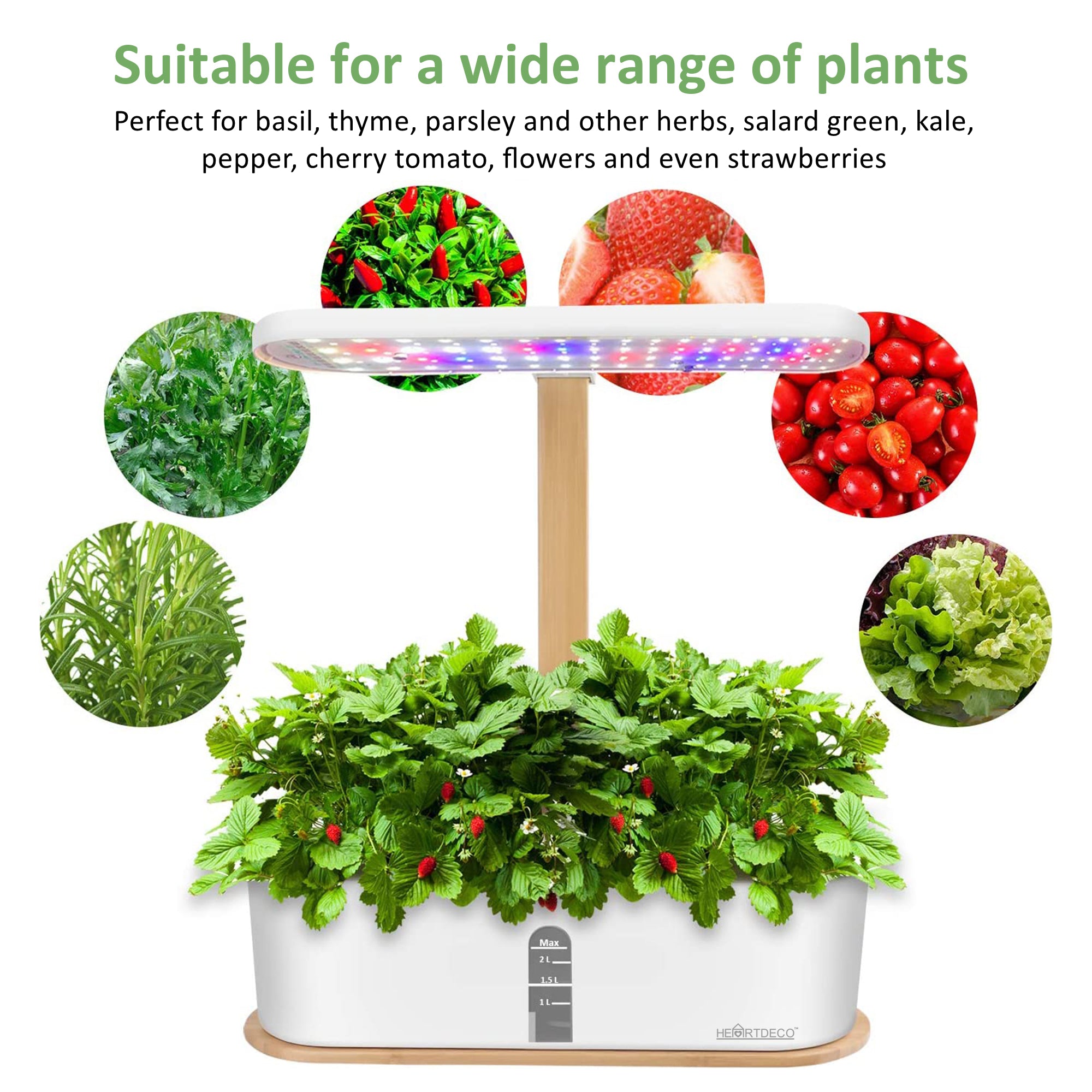 Beautiful view of Hydroponic Kit For Home Herb Garden At Home